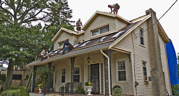 Best Emergency Roof Repair  in Palmhurst, TX