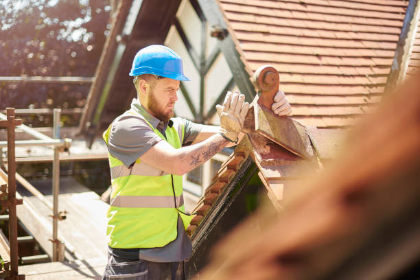 Best Roof Gutter Cleaning  in Palmhurst, TX