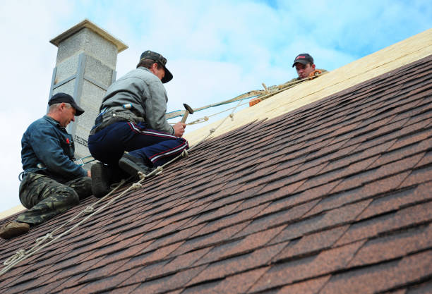 Best Shingle Roofing Installation  in Palmhurst, TX